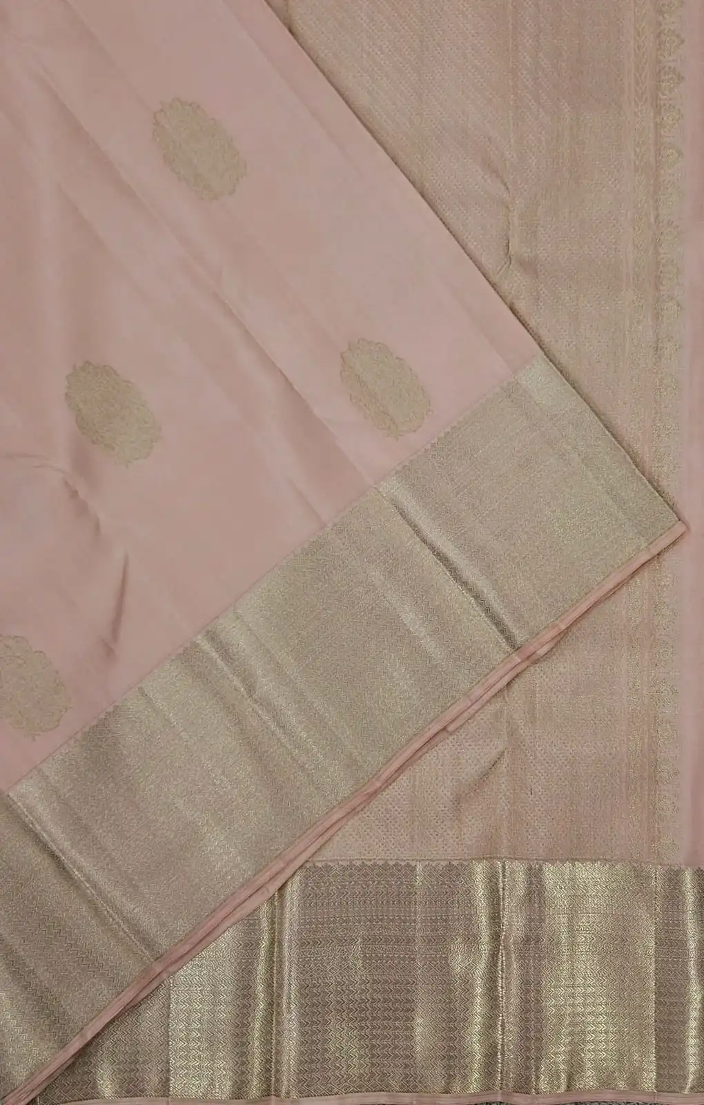 Silver Zari Woven Leaf Motifs Rich Pallu Kanchipuram Silk Saree